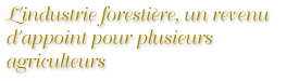 L'industrie foresti&egrave;re, un revenu d'appoint pour plusieurs agriculteurs