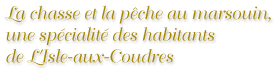 La chasse au marsouin, une sp&eacute;cialit&eacute; des habitants de L'Isle-aux-Coudres