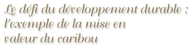 Le d&eacute;fi du d&eacute;veloppement durable dans la r&eacute;serve mondiale de la biosph&egrave;re de Charlevoix :  l'exemple de la mise en valeur du caribou