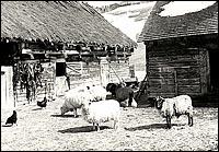 Mus&eacute;e d'art de Saint-Laurent, Fonds Jean Palardy, pr&ecirc;t&eacute; au Mus&eacute;e de Charlevoix