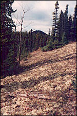 Randonn&eacute;es Nature-Charlevoix 