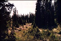 Randonn&eacute;es Nature-Charlevoix