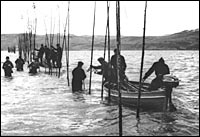 Fonds Soci&eacute;t&eacute; linn&eacute;enne du Qu&eacute;bec