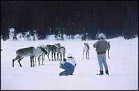 S&eacute;paq, Photographe Pierre Pouliot